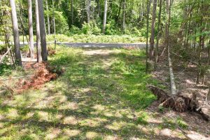 14175 Harris Creek Ln, , Presque Isle,  WI 54557 USA