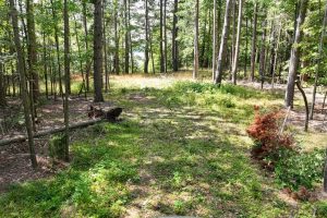 14175 Harris Creek Ln, , Presque Isle,  WI 54557 USA