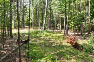 14175 Harris Creek Ln, , Presque Isle,  WI 54557 USA