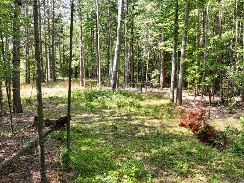 14175 Harris Creek Ln, , Presque Isle,  WI 54557 USA