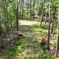 14175 Harris Creek Ln, , Presque Isle,  WI 54557 USA