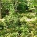 14175 Harris Creek Ln, , Presque Isle,  WI 54557 USA