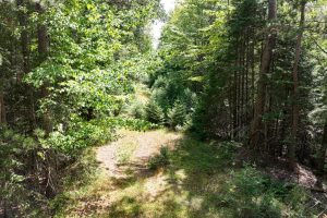 14175 Harris Creek Ln, , Presque Isle,  WI 54557 USA