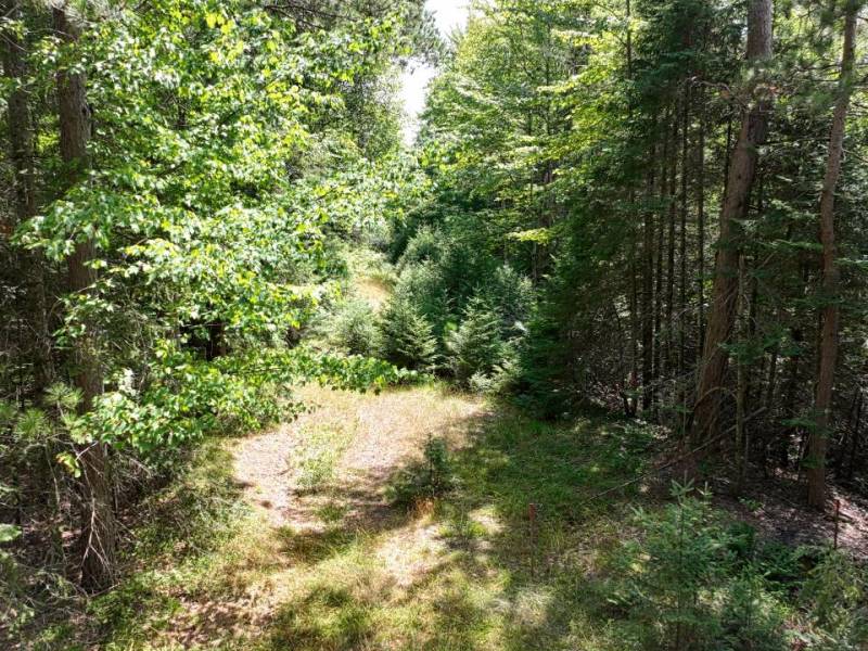 14175 Harris Creek Ln, , Presque Isle,  WI 54557 USA