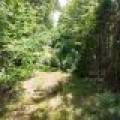 14175 Harris Creek Ln, , Presque Isle,  WI 54557 USA