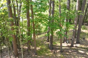 14175 Harris Creek Ln, , Presque Isle,  WI 54557 USA