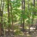 14175 Harris Creek Ln, , Presque Isle,  WI 54557 USA