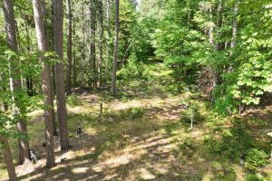 14175 Harris Creek Ln, , Presque Isle,  WI 54557 USA