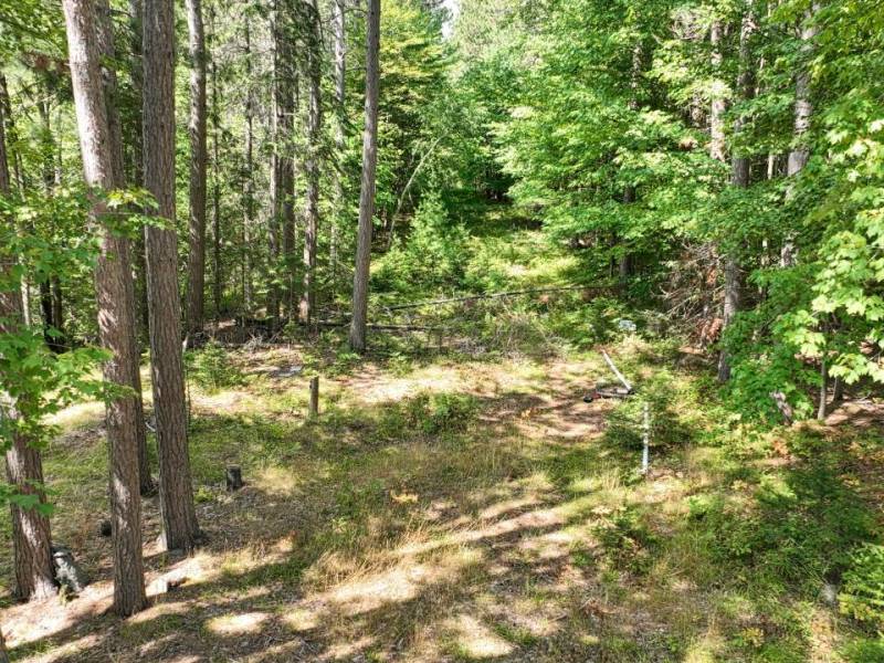 14175 Harris Creek Ln, , Presque Isle,  WI 54557 USA