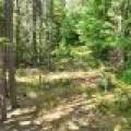14175 Harris Creek Ln, , Presque Isle,  WI 54557 USA
