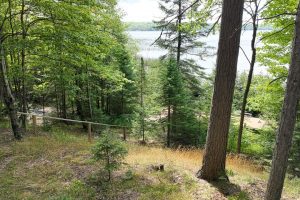 14175 Harris Creek Ln, , Presque Isle,  WI 54557 USA