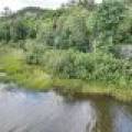 14175 Harris Creek Ln, , Presque Isle,  WI 54557 USA