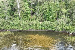 14175 Harris Creek Ln, , Presque Isle,  WI 54557 USA