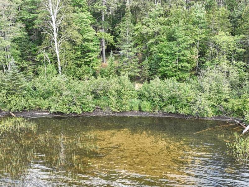 14175 Harris Creek Ln, , Presque Isle,  WI 54557 USA