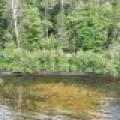 14175 Harris Creek Ln, , Presque Isle,  WI 54557 USA