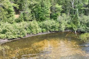 14175 Harris Creek Ln, , Presque Isle,  WI 54557 USA