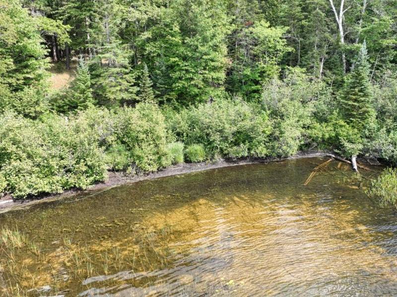 14175 Harris Creek Ln, , Presque Isle,  WI 54557 USA