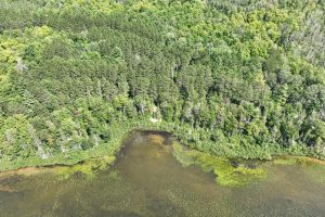 14175 Harris Creek Ln, , Presque Isle,  WI 54557 USA