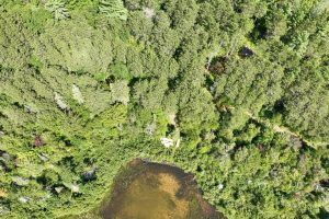 14175 Harris Creek Ln, , Presque Isle,  WI 54557 USA