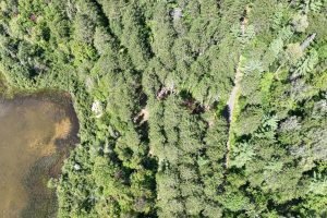 14175 Harris Creek Ln, , Presque Isle,  WI 54557 USA