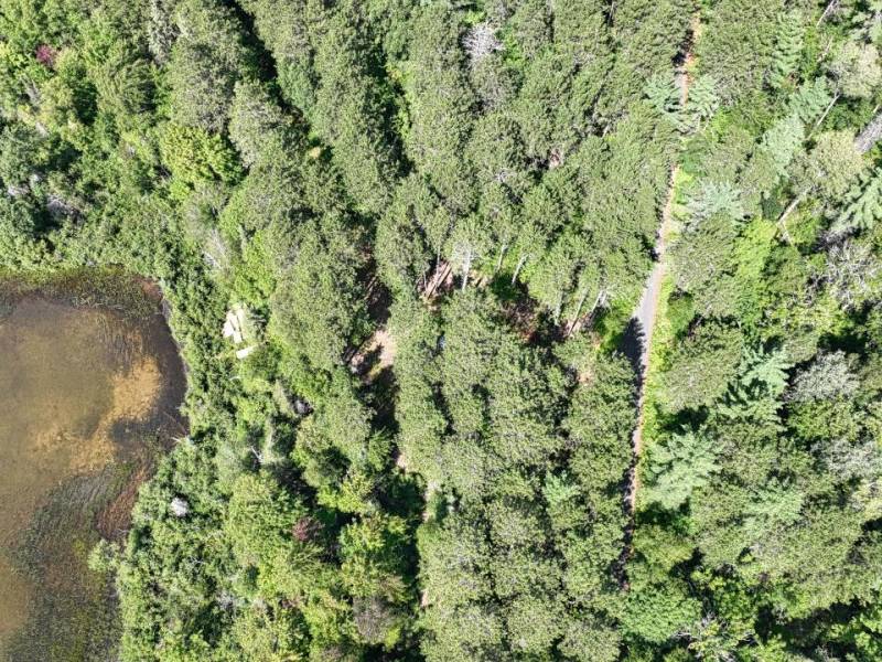 14175 Harris Creek Ln, , Presque Isle,  WI 54557 USA