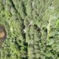 14175 Harris Creek Ln, , Presque Isle,  WI 54557 USA