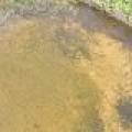 14175 Harris Creek Ln, , Presque Isle,  WI 54557 USA