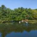 118/1504 Lake Forest Ln, , Eagle River,  WI 54521 USA