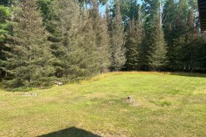 1715 Lilac Dr, , St. Germain,  WI 54558 USA