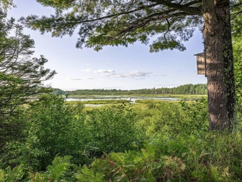 2245 Merkel Ave, , Eagle River,  WI 54521 USA