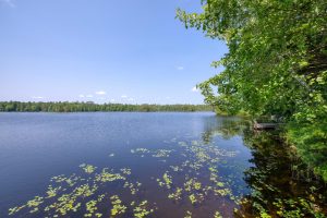 2401 E Ross Allen Lake Rd, , Lac du Flambeau,  WI 54538 USA
