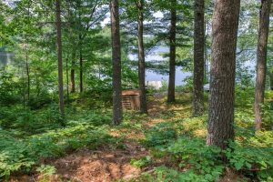 2401 E Ross Allen Lake Rd, , Lac du Flambeau,  WI 54538 USA