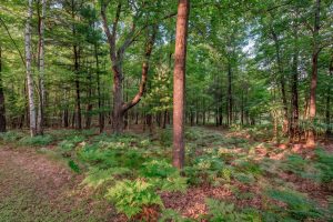 4010 Flannery Lake Rd, , Rhinelander,  WI 54501 USA