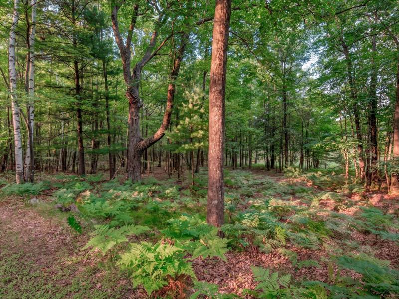 4010 Flannery Lake Rd, , Rhinelander,  WI 54501 USA