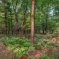 4010 Flannery Lake Rd, , Rhinelander,  WI 54501 USA