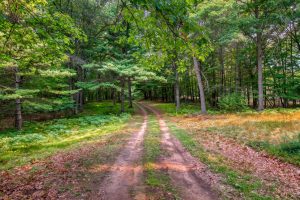 4010 Flannery Lake Rd, , Rhinelander,  WI 54501 USA