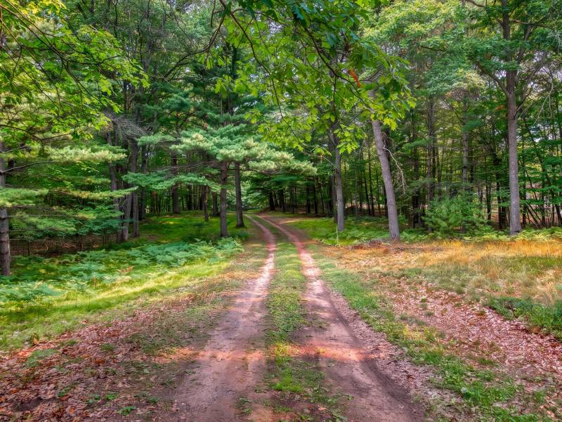 4010 Flannery Lake Rd, , Rhinelander,  WI 54501 USA