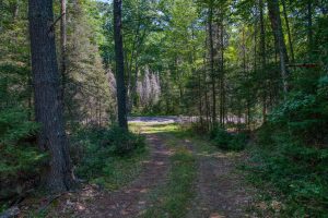 4285 Camp Two Rd, , Star Lake,  WI 54561 USA