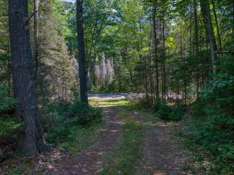 4285 Camp Two Rd, , Star Lake,  WI 54561 USA