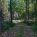 4285 Camp Two Rd, , Star Lake,  WI 54561 USA