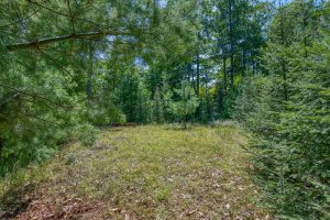 4285 Camp Two Rd, , Star Lake,  WI 54561 USA