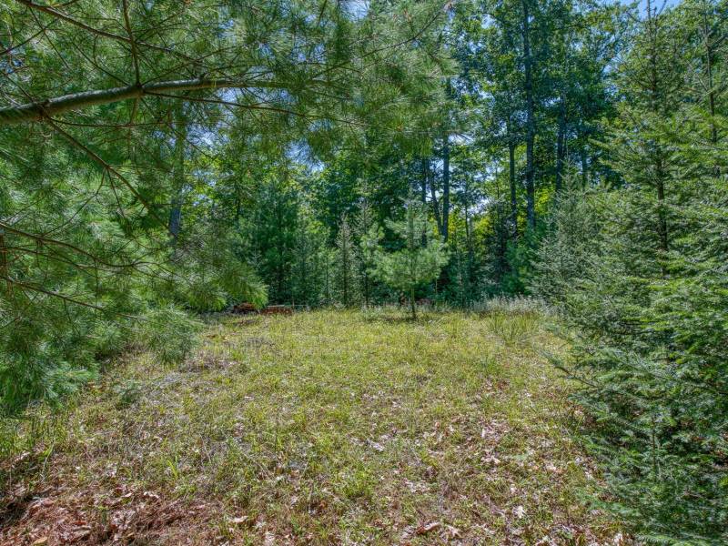 4285 Camp Two Rd, , Star Lake,  WI 54561 USA