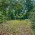 4285 Camp Two Rd, , Star Lake,  WI 54561 USA