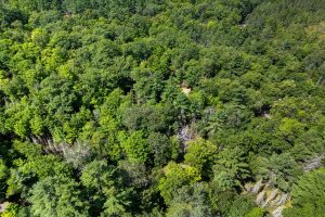 4285 Camp Two Rd, , Star Lake,  WI 54561 USA