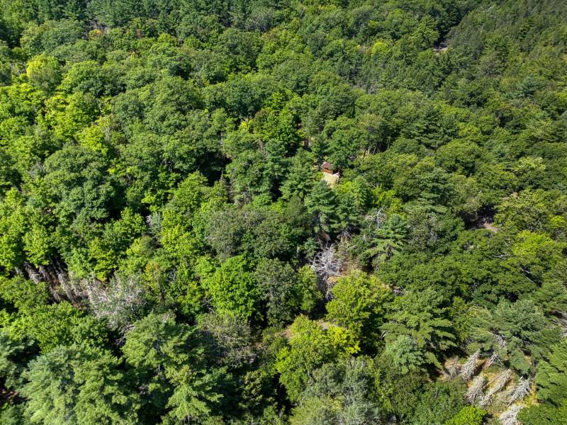 4285 Camp Two Rd, , Star Lake,  WI 54561 USA
