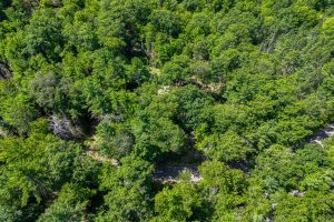 4285 Camp Two Rd, , Star Lake,  WI 54561 USA