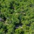 4285 Camp Two Rd, , Star Lake,  WI 54561 USA