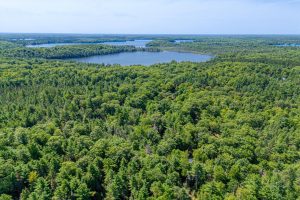 4285 Camp Two Rd, , Star Lake,  WI 54561 USA