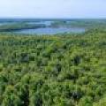4285 Camp Two Rd, , Star Lake,  WI 54561 USA