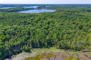 4285 Camp Two Rd, , Star Lake,  WI 54561 USA